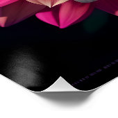 Poster Blanc Orange Jaune Rose Violet Bleu Dahlia Fleur (Coin)