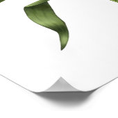 Poster Blanc Oriental Lily Imprimer (Coin)