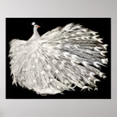 Poster blanc Peacock (Devant)