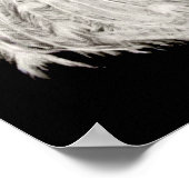 Poster blanc Peacock (Coin)