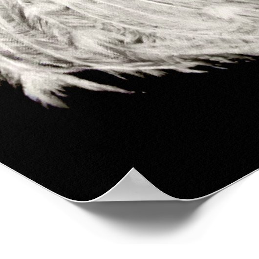 Poster blanc Peacock (Coin)