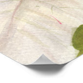 Poster blanc Poinsettia (Coin)