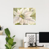 Poster blanc Poinsettia (Bureau à domicile)