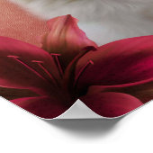 Poster Blanc Poméranien Chien Lily Fleurs d'art animal (Coin)