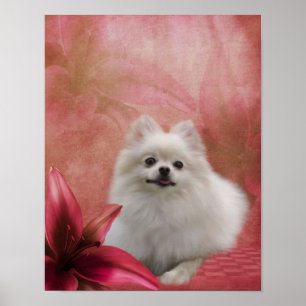 Poster Blanc Poméranien Chien Lily Fleurs d'art animal