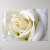 Poster blanc rose, S Cyr (Devant)