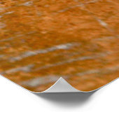 Poster Blanc sur Gold Paintball (Coin)