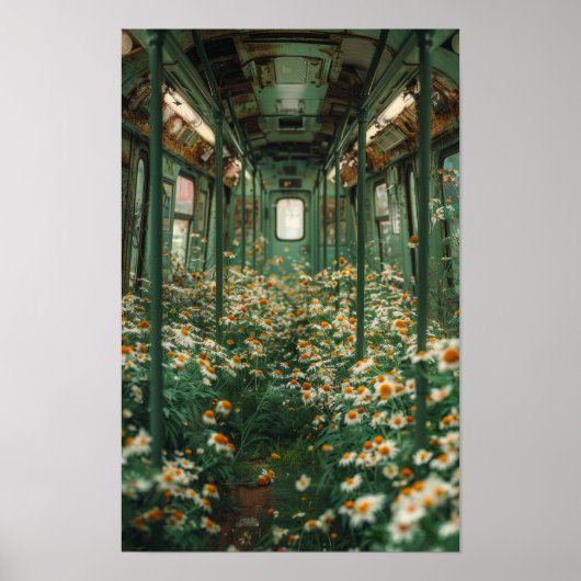 Poster blanc sur le champ de fleurs de chamomille (Devant)