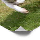 Poster blanc Tigre Vous La Customisez (Coin)