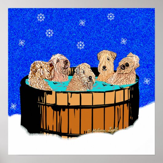 POSTER BLANCHIMENT DANS UN BAIN À REMOUS (Devant)