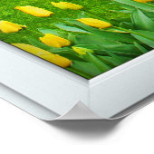 Poster Blancs 3 Volets Illustration Jardin de printemps (Coin)