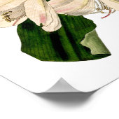 Poster Blancs Amaryllis Botanique (Coin)