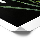 Poster Blancs de neige fleurs de printemps sur art noir (Coin)