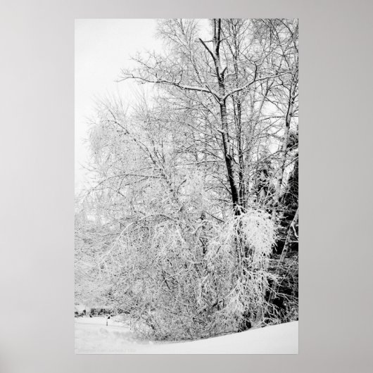 Poster Blancs d'hiver (Devant)