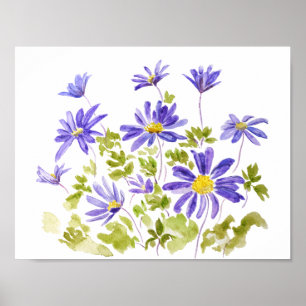 Poster blanda d'anémone violet Aquarelle