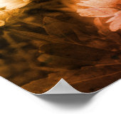 Poster Blanket Fleur Noir Et Blanc Perturbé Abstrait (Coin)