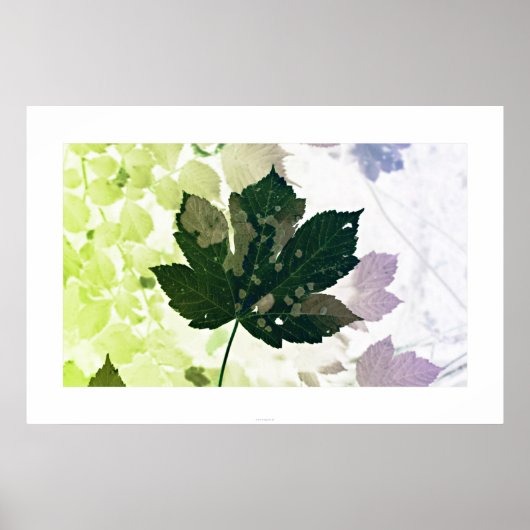 Poster Blatt (Devant)