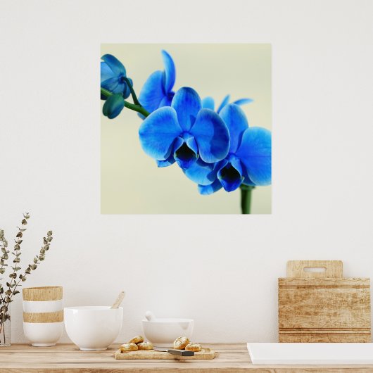 Poster Blaue Orchidee (Cuisine)