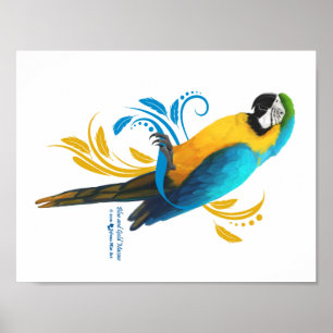 Poster Blauw en gouden Macaw
