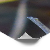 Poster - Blauwe libellen (Hoek)