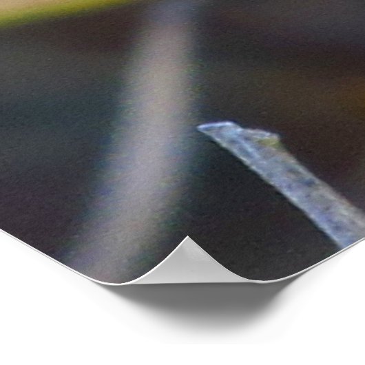 Poster - Blauwe libellen (Hoek)