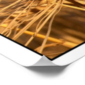 Poster Blé 3 (Coin)