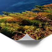 Poster Bled Island, Slovenia, scenic (Coin)