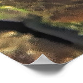 Poster Blenny rayé (Coin)