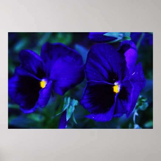 Poster Bleu (Devant)