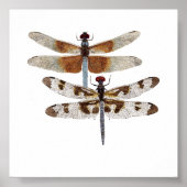 Poster Bleu (Devant)