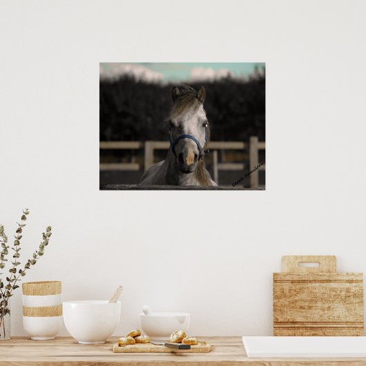 Poster Bleu (Cuisine)