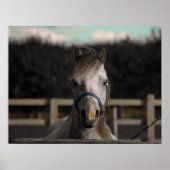 Poster Bleu (Devant)