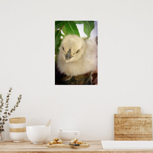 Poster Bleu (Cuisine)