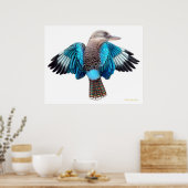 Poster Bleu aile Kookaburra Imprimer (Cuisine)