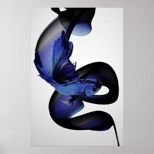 Poster bleu betta (Devant)