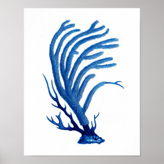 Poster Bleu Corail imprimé #2 Mur côtier Décor Art