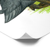 Poster Bleu coureur canards (Coin)