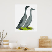 Poster Bleu coureur canards (Cuisine)