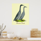 Poster Bleu coureur canards (Cuisine)