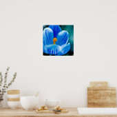 Poster bleu Crocus (Cuisine)