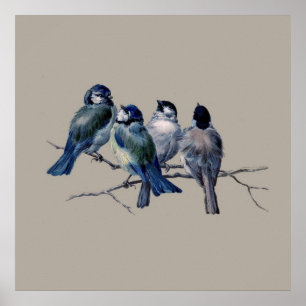 Poster Bleu d'Art Vintage sur branche x 4 Cadeau