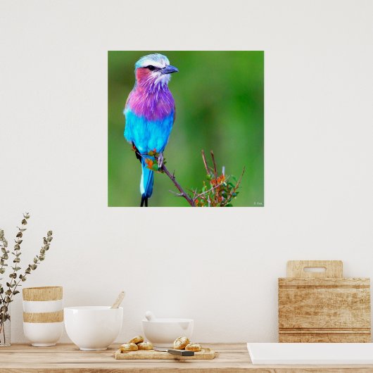 Poster Bleu d'oiseaux (Cuisine)