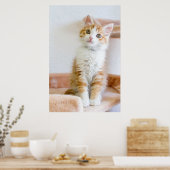 Poster Bleu doux Kitty Eyed (Cuisine)