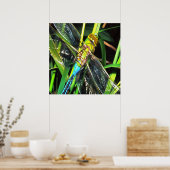 Poster Bleu Dragonfly Shimmering Wings Peinture (Cuisine)