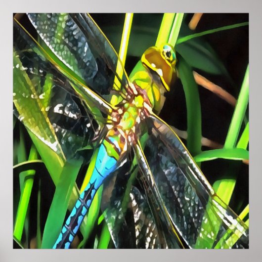Poster Bleu Dragonfly Shimmering Wings Peinture (Devant)