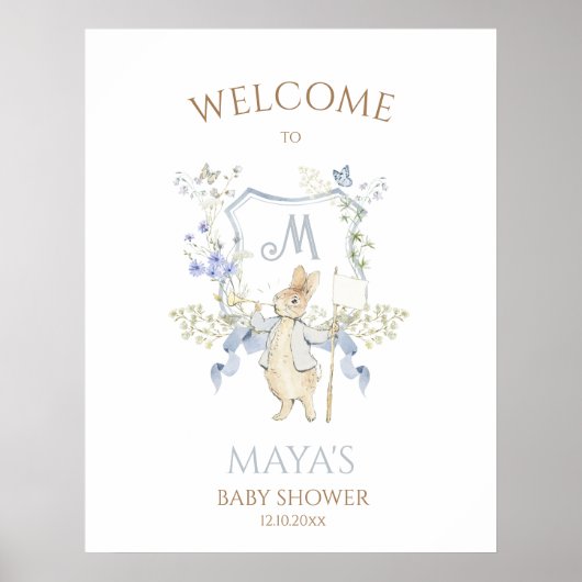 Poster Bleu En vichy Peter le Baby shower Rabbit MUTED BL (Devant)