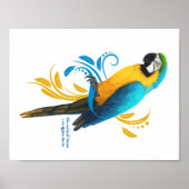 Poster bleu et or Macaw (Devant)