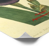 Poster Bleu Iris Botanique (Coin)