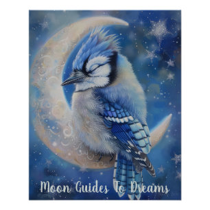 Poster Bleu Jay bébé oiseau dormant sur Lune