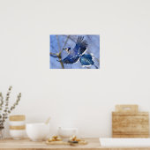 Poster Bleu Jay en vol (Cuisine)